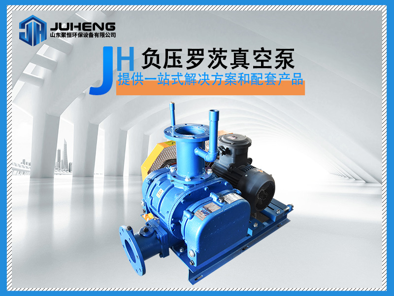 負壓羅茨風機