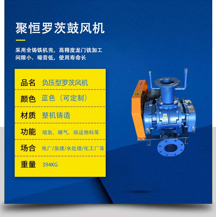 羅茨鼓風(fēng)機(jī)