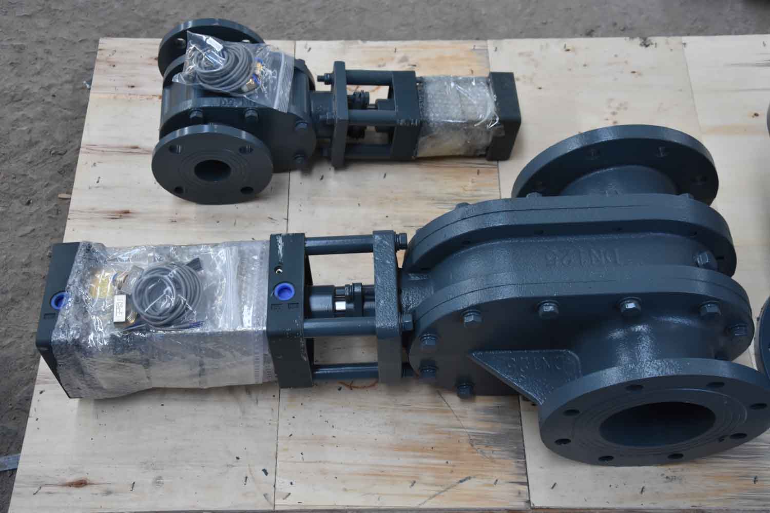 DSC_1907.jpg DSC_1907.jpg